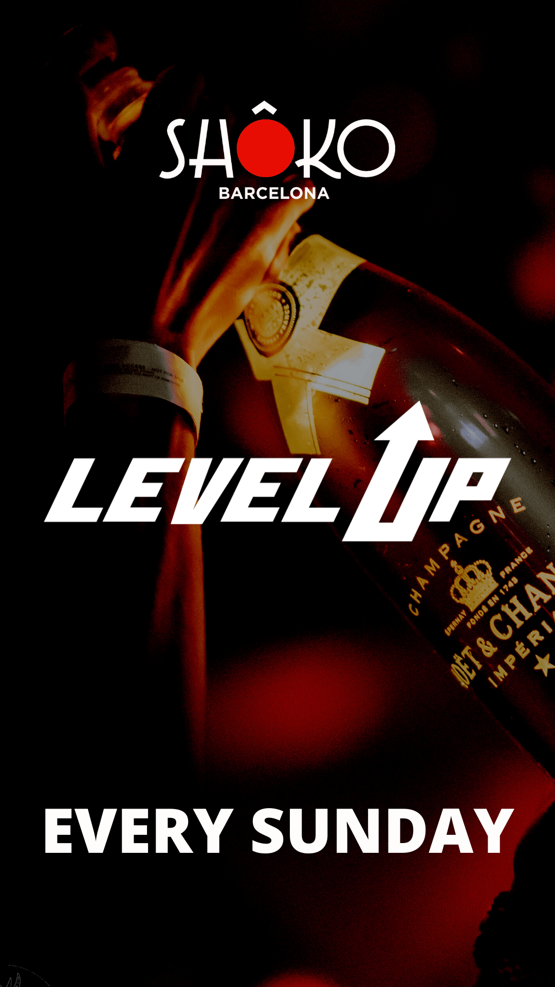 LEVEL UP